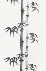 bamboo